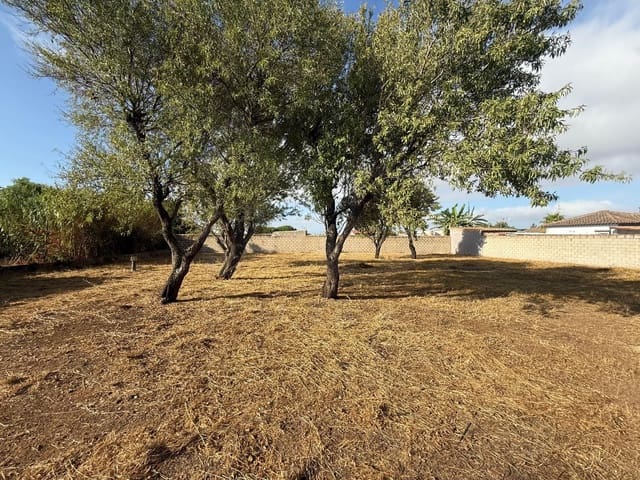 Ubebygd land til salgs i Chiclana de la Frontera - € 103 630 (Ref: 9987441)