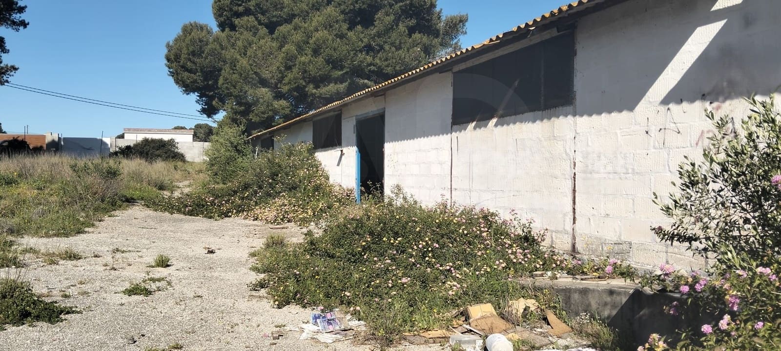 Grond te koop in Cadiz stad - € 300.000 (Ref: 9987454)