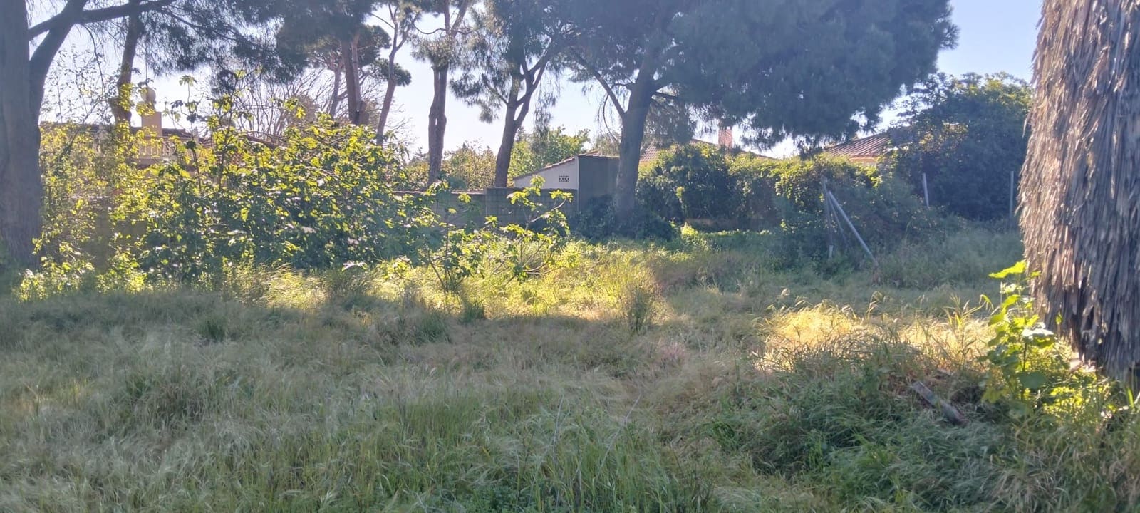 Grond te koop in Cadiz stad - € 300.000 (Ref: 9987454)