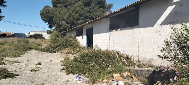 Grond te koop in Cádiz stad - € 300.000 (Ref: 9987454)