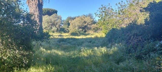 Grond te koop in Cádiz stad - € 300.000 (Ref: 9987454)