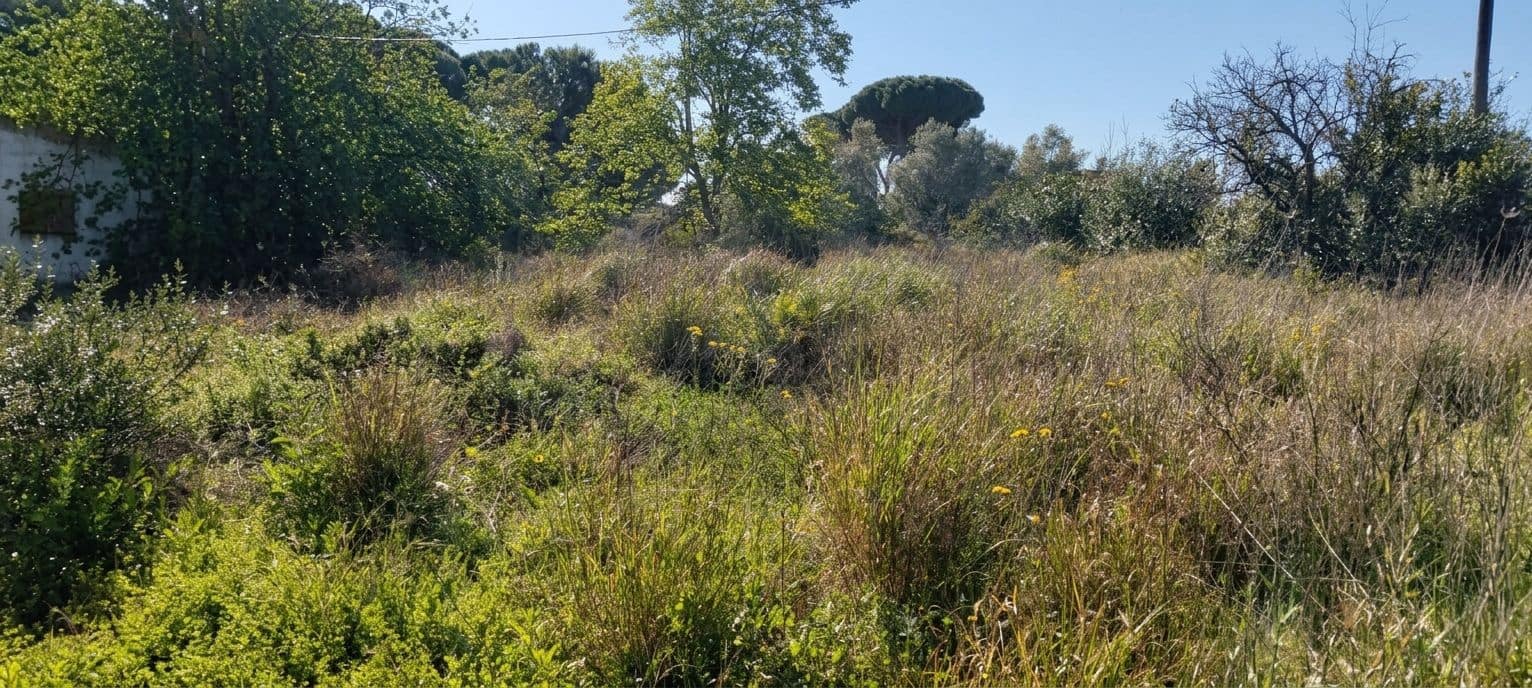 Grond te koop in Cadiz stad - € 300.000 (Ref: 9987454)