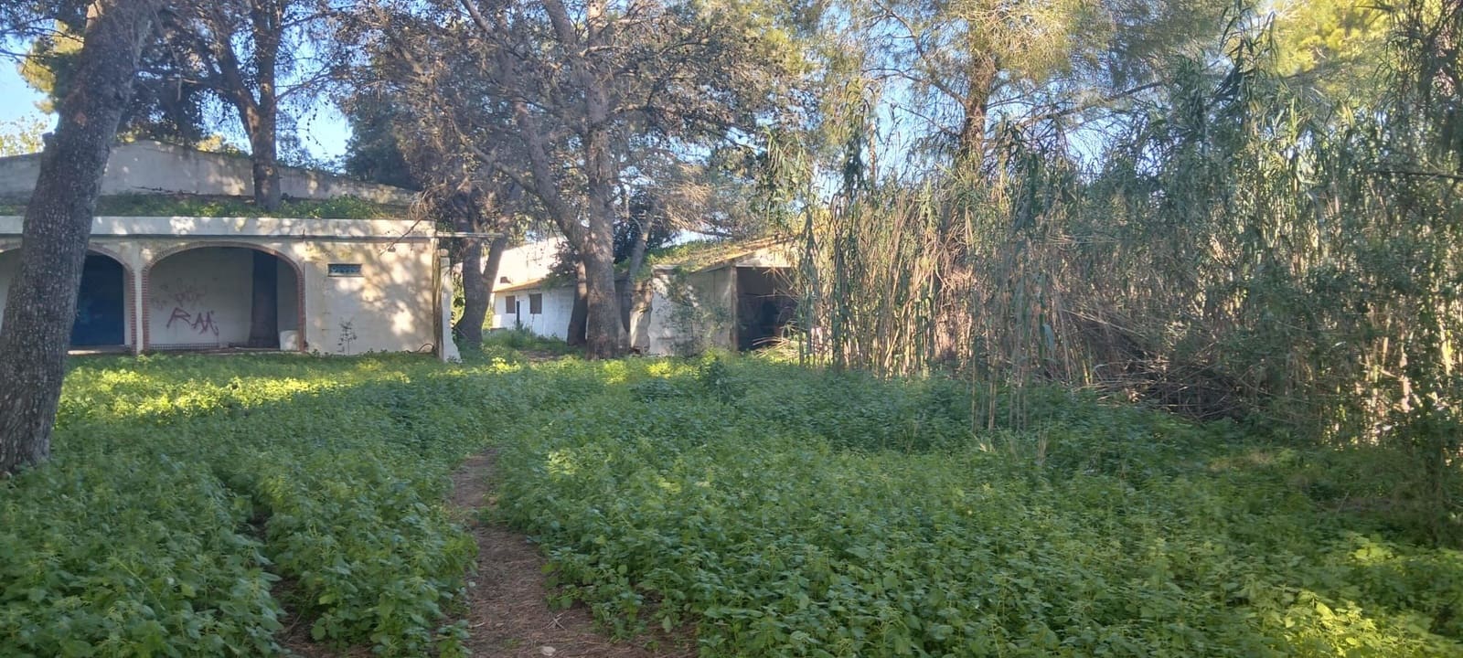 Grond te koop in Cadiz stad - € 300.000 (Ref: 9987454)