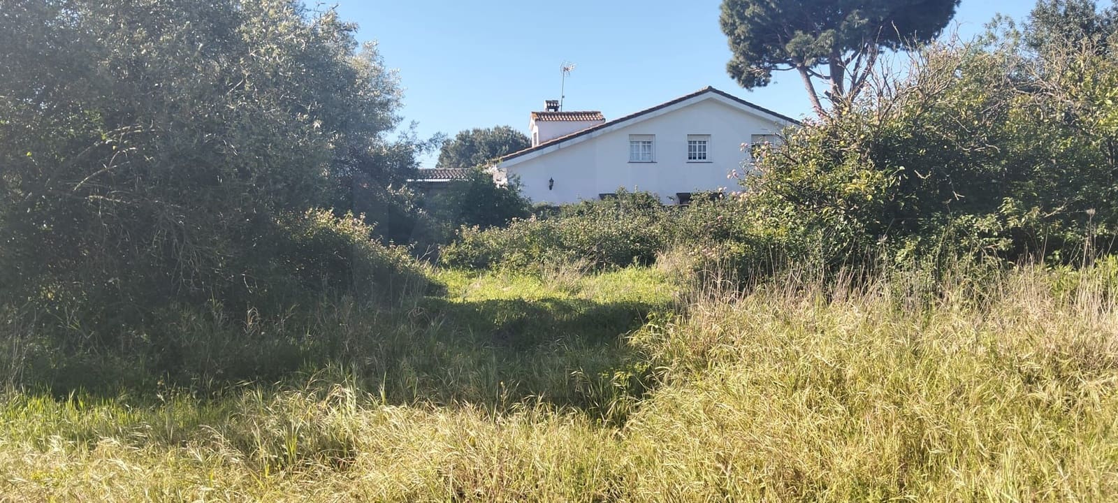 Grond te koop in Cadiz stad - € 300.000 (Ref: 9987454)