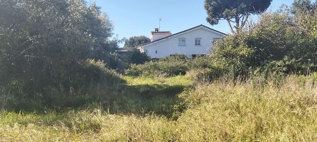 Grond te koop in Cádiz stad - € 300.000 (Ref: 9987454)