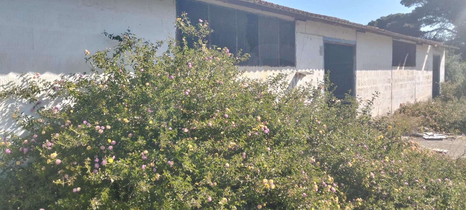 Grond te koop in Cadiz stad - € 300.000 (Ref: 9987454)