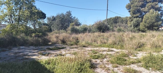 Grond te koop in Cádiz stad - € 300.000 (Ref: 9987454)