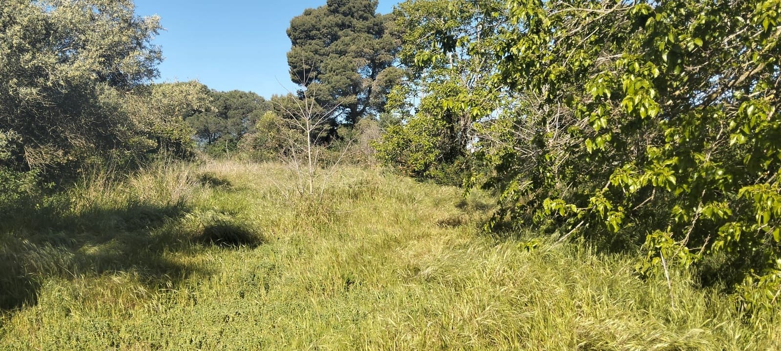 Grond te koop in Cadiz stad - € 300.000 (Ref: 9987454)
