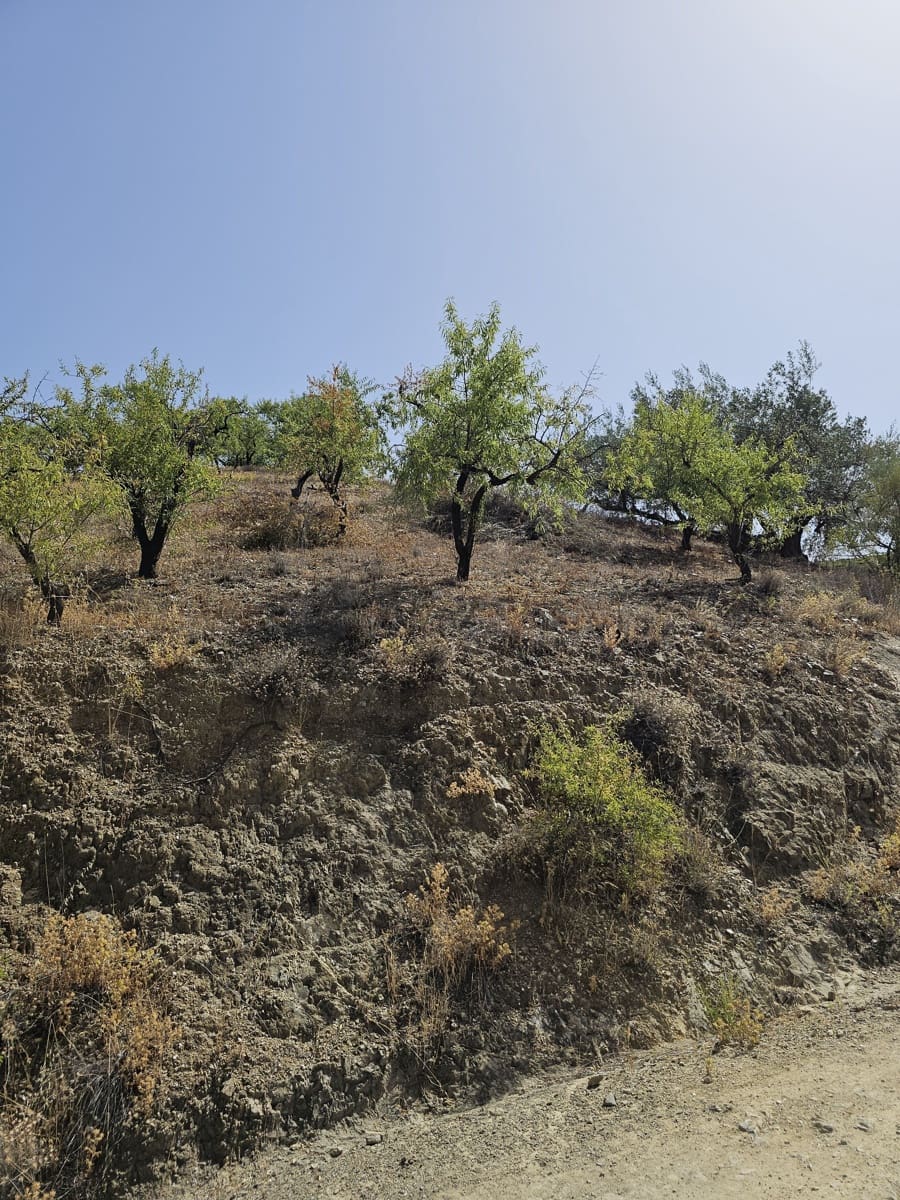 Finca/Casa Rural de 3 habitaciones en Sedella en venta con piscina garaje - 355.000 € (Ref: 9987465)