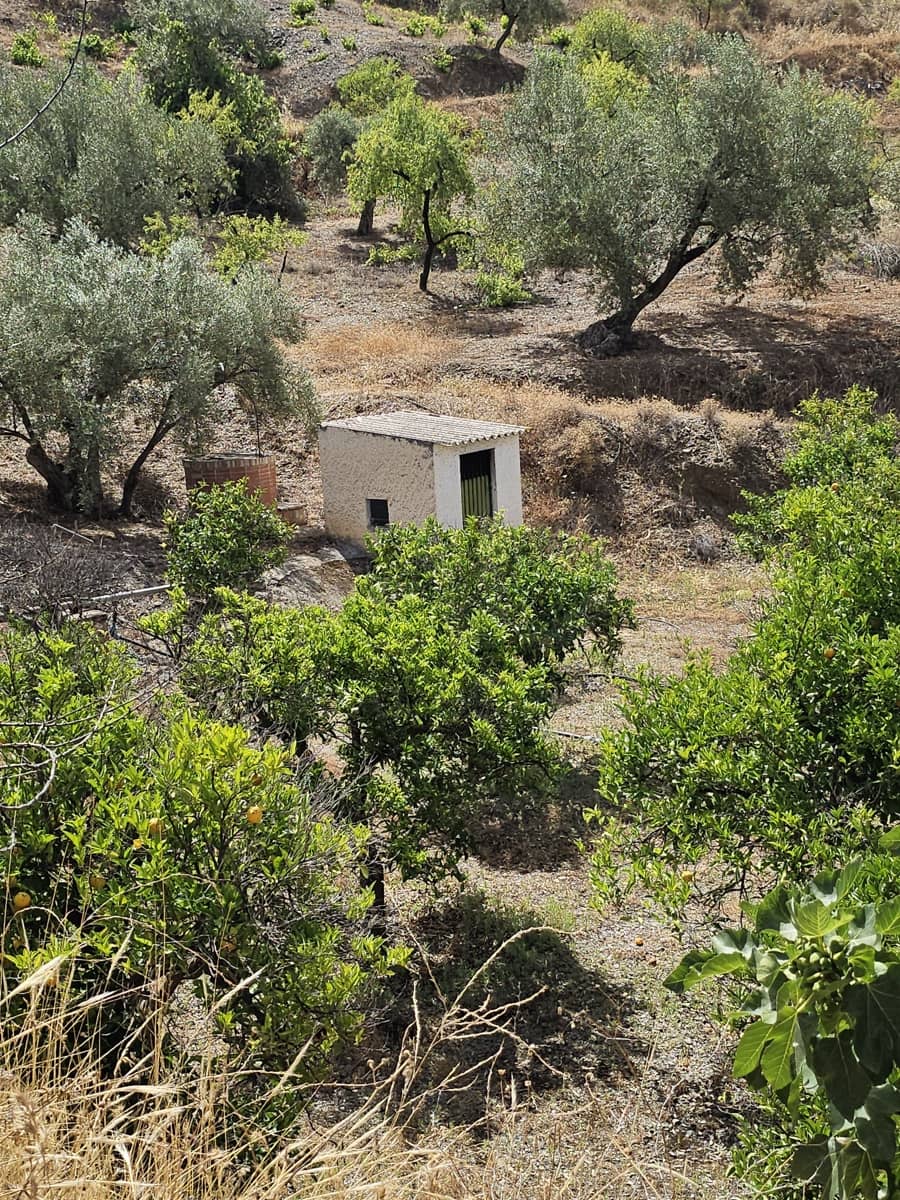 Finca/Casa Rural de 3 habitaciones en Sedella en venta con piscina garaje - 355.000 € (Ref: 9987465)