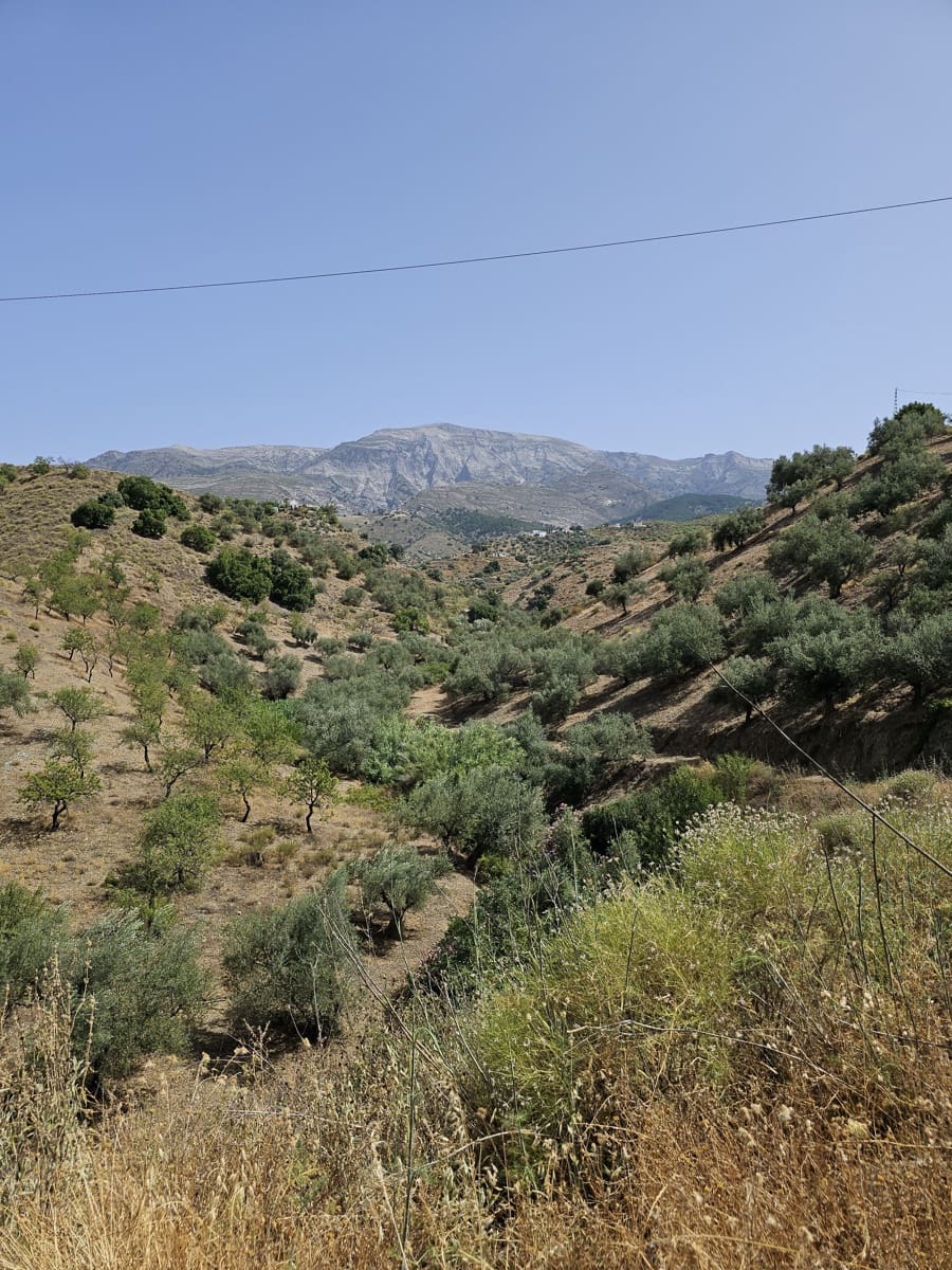 Finca/Casa Rural de 3 habitaciones en Sedella en venta con piscina garaje - 355.000 € (Ref: 9987465)