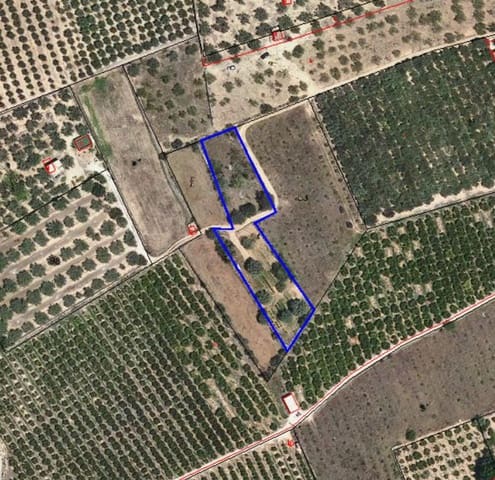 Terreno Non Edificato in vendita in Tarragona città - 15.100 € (Rif: 9987474)