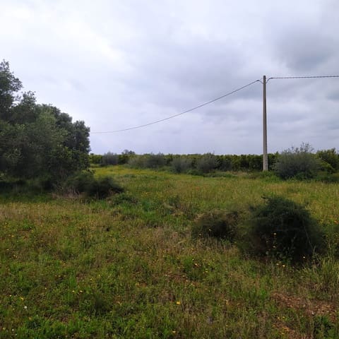 Terreno Non Edificato in vendita in Tarragona città - 15.100 € (Rif: 9987474)