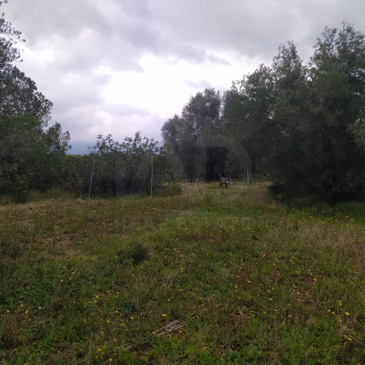 Terreno Non Edificato in vendita in Tarragona citta - 15.100 € (Rif: 9987474)