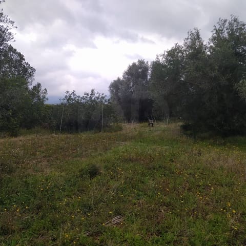 Terreno Non Edificato in vendita in Tarragona città - 15.100 € (Rif: 9987474)