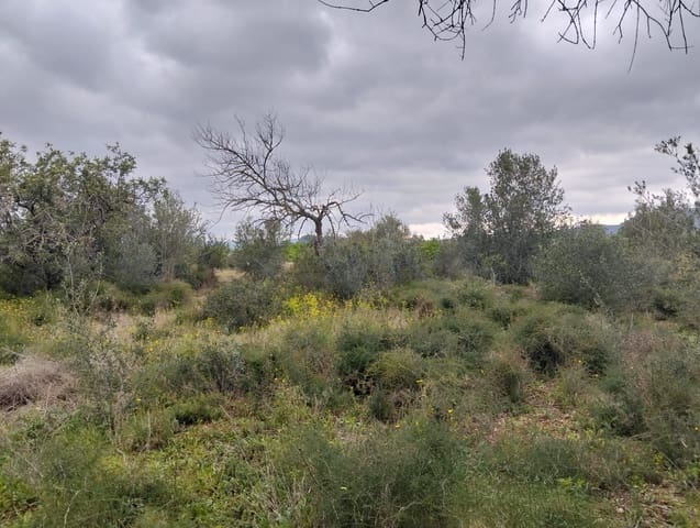 Terreno Non Edificato in vendita in Tarragona città - 15.100 € (Rif: 9987474)