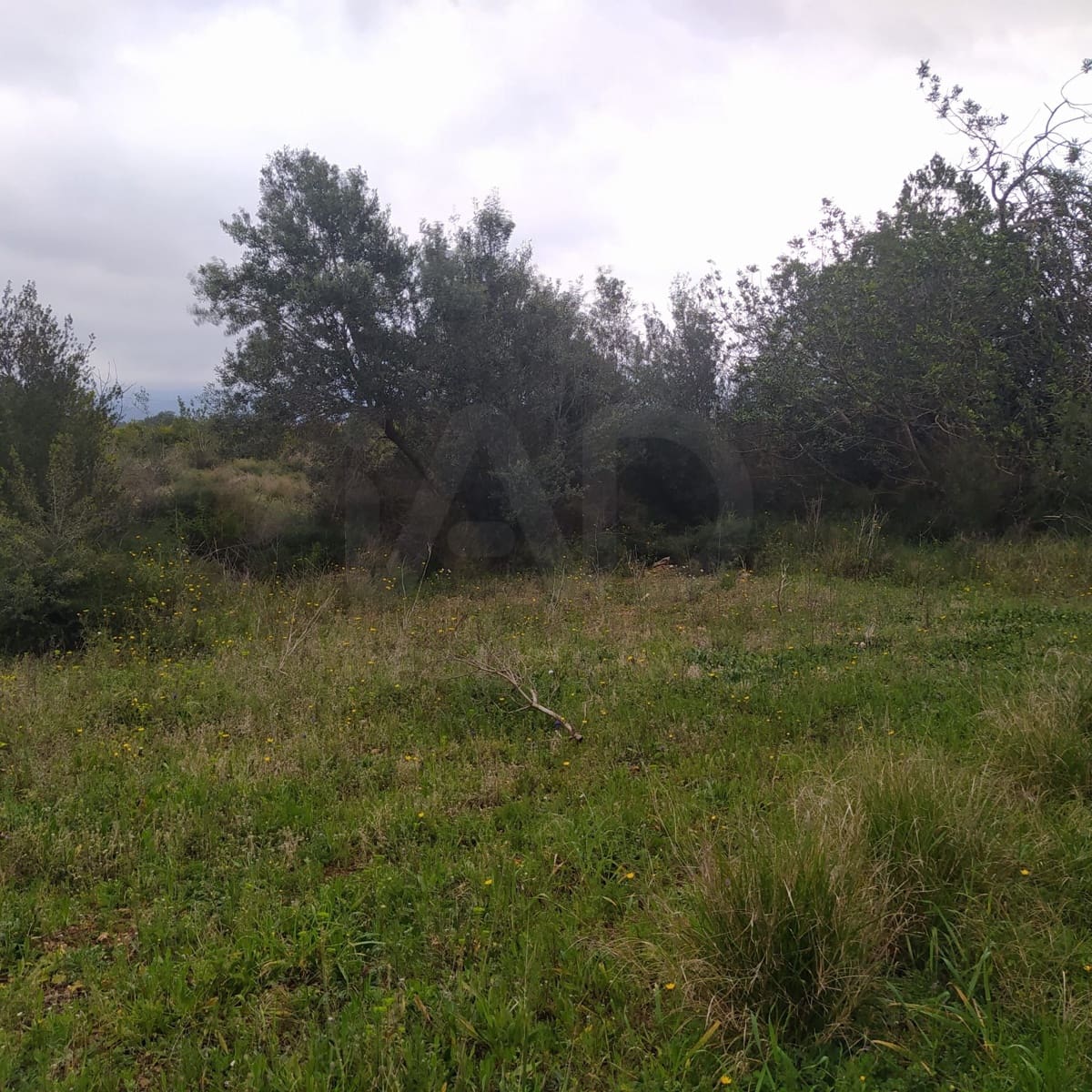 Terreno Non Edificato in vendita in Tarragona citta - 15.100 € (Rif: 9987474)