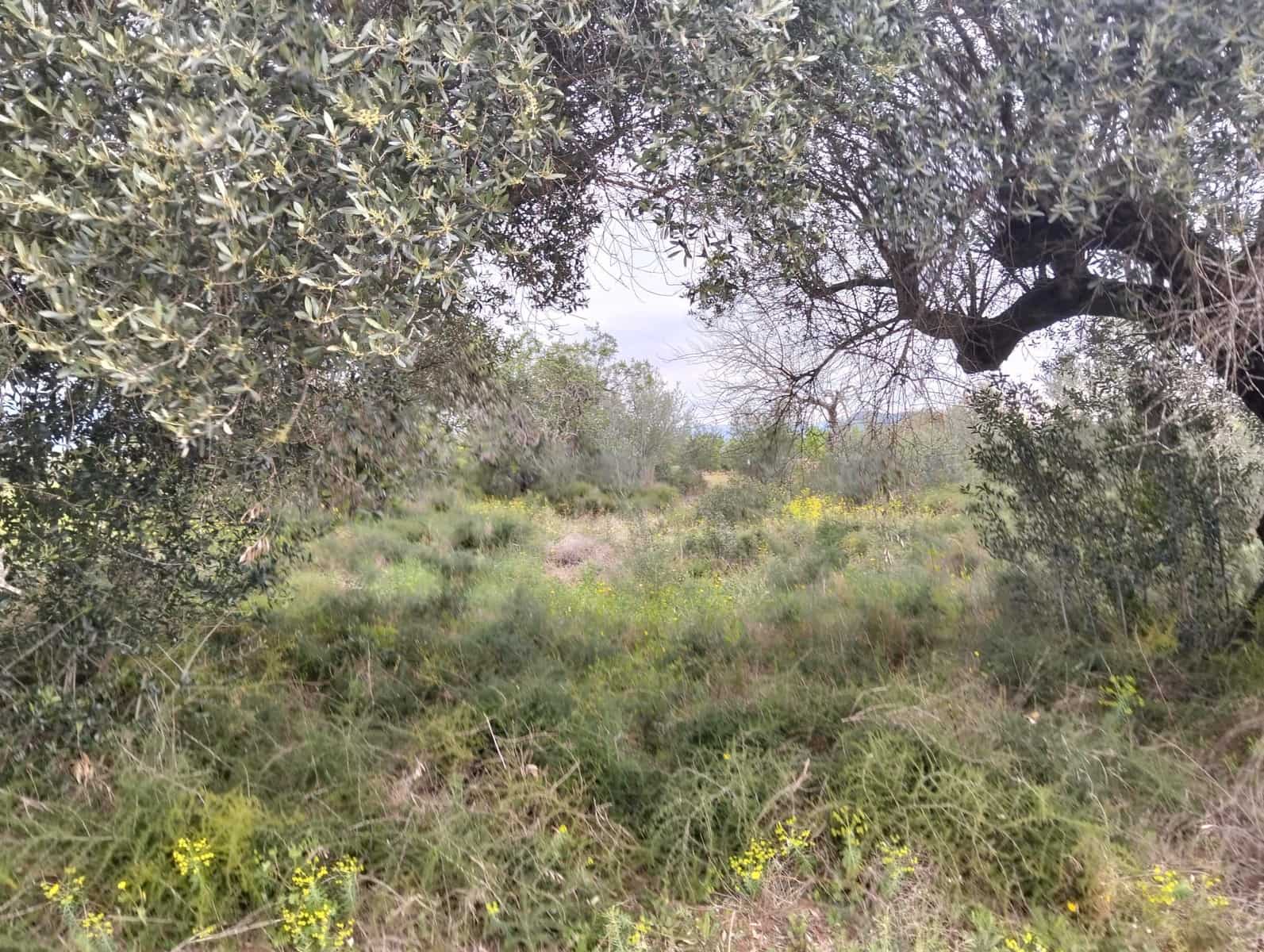 Terreno Non Edificato in vendita in Tarragona citta - 15.100 € (Rif: 9987474)