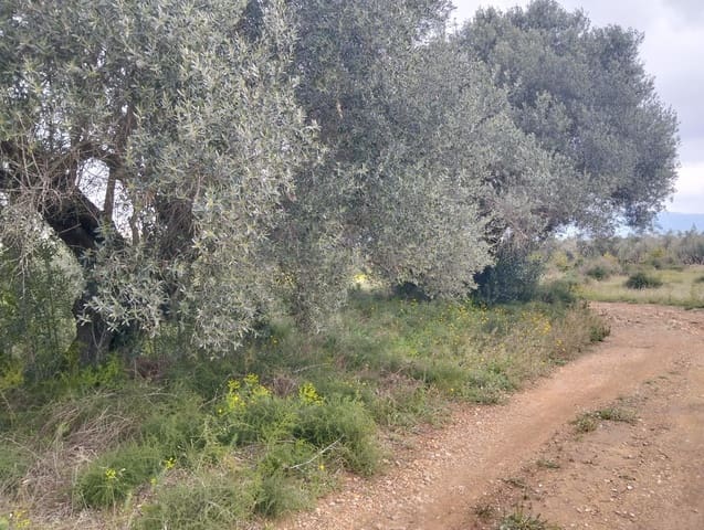 Terreno Non Edificato in vendita in Tarragona città - 15.100 € (Rif: 9987474)