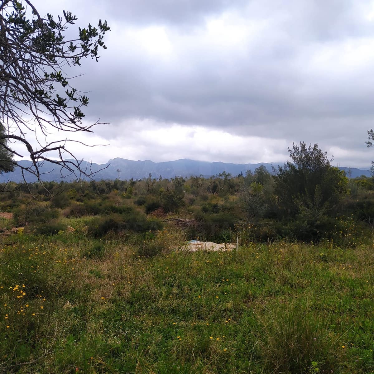 Terreno Non Edificato in vendita in Tarragona citta - 15.100 € (Rif: 9987474)