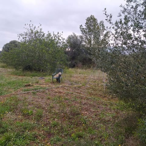Terreno Non Edificato in vendita in Tarragona città - 15.100 € (Rif: 9987474)