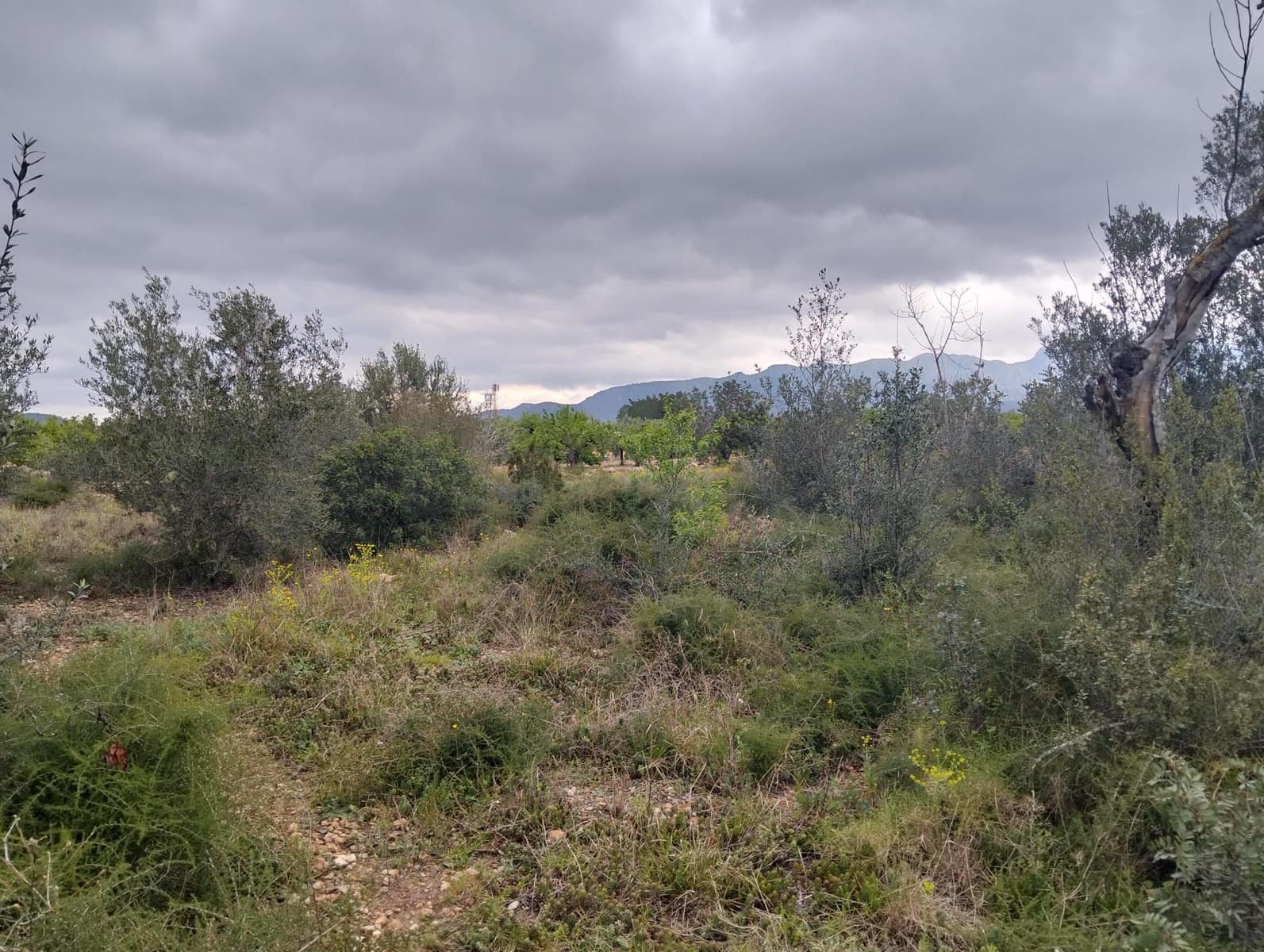 Terreno Non Edificato in vendita in Tarragona citta - 15.100 € (Rif: 9987474)