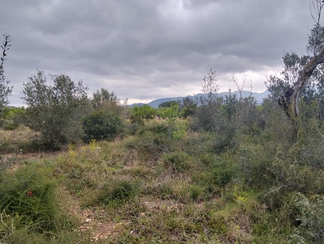 Terreno Non Edificato in vendita in Tarragona città - 15.100 € (Rif: 9987474)