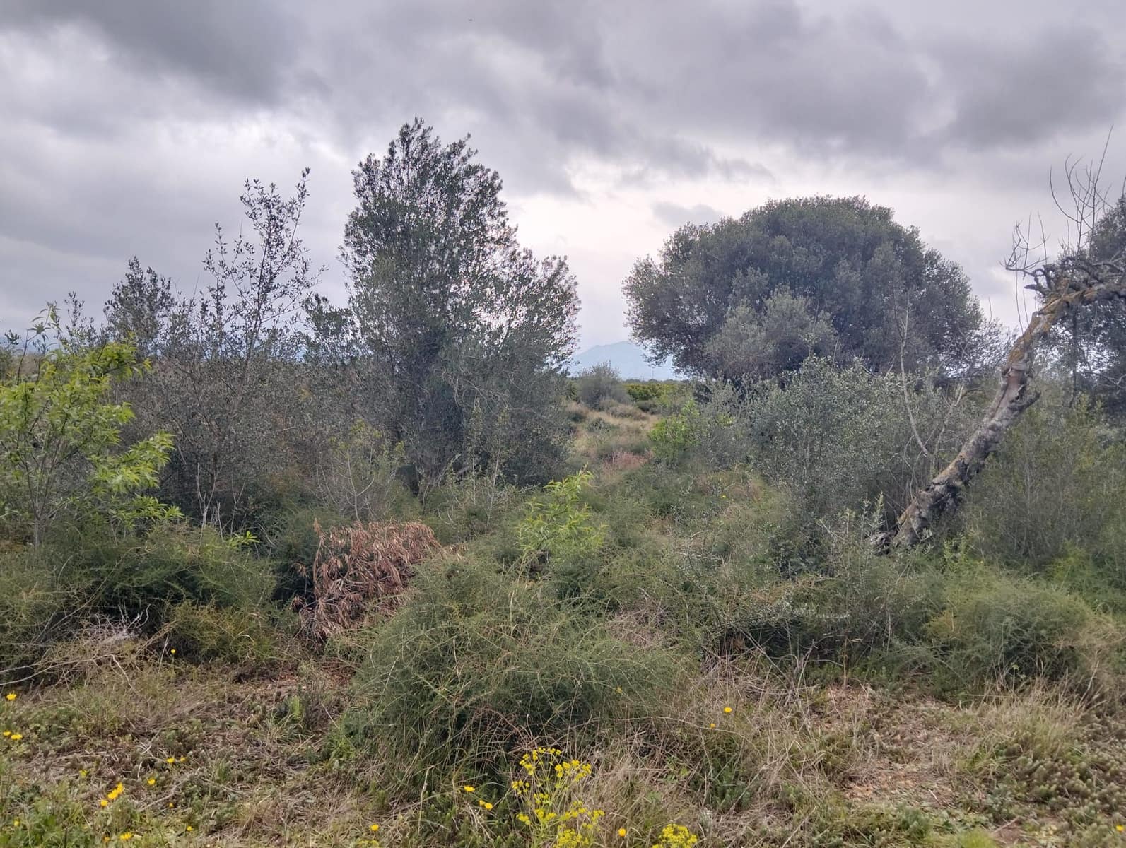 Terreno Non Edificato in vendita in Tarragona citta - 15.100 € (Rif: 9987474)