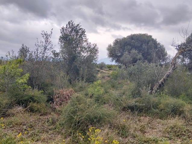 Terreno Non Edificato in vendita in Tarragona città - 15.100 € (Rif: 9987474)
