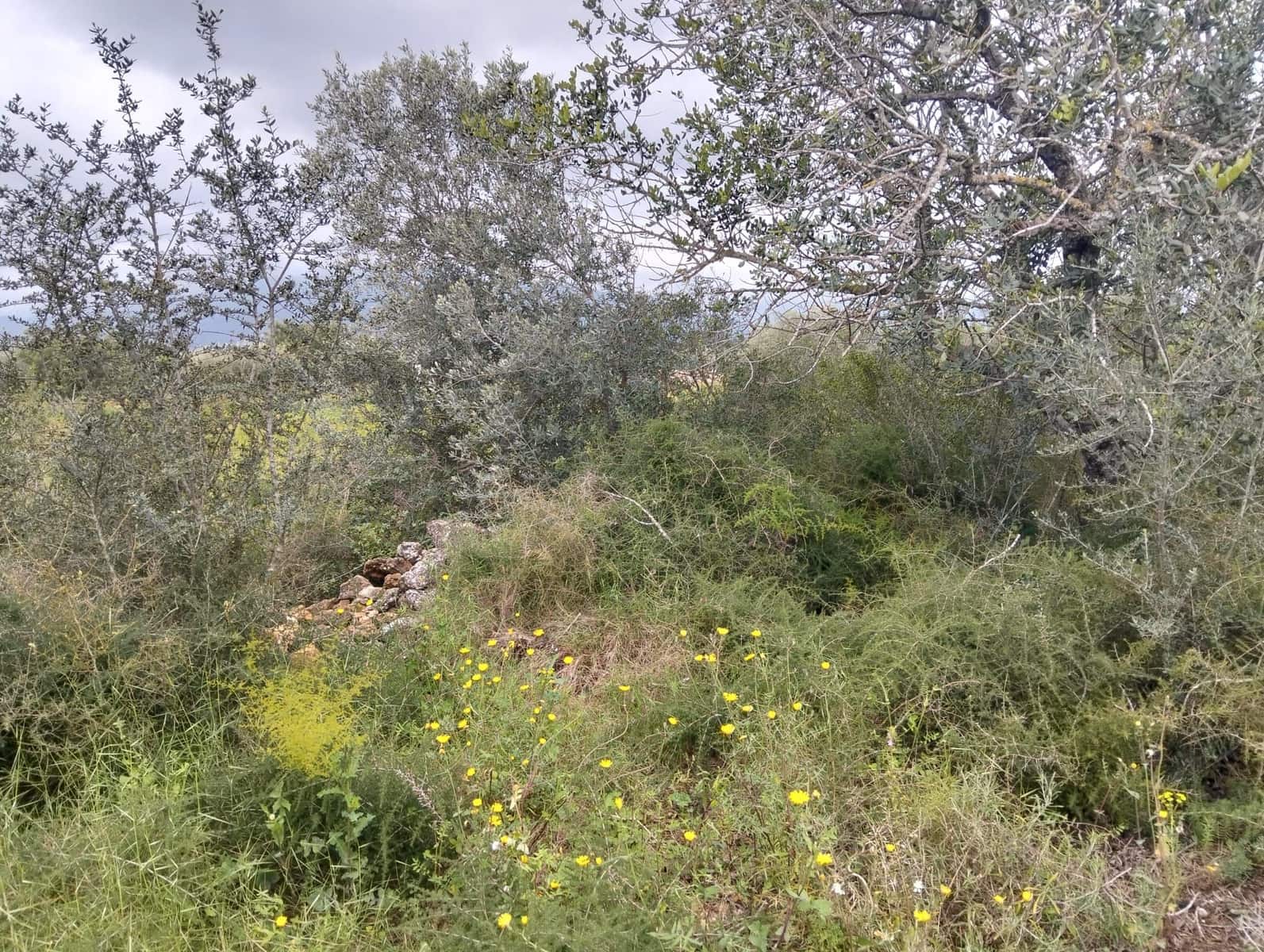 Terreno Non Edificato in vendita in Tarragona citta - 15.100 € (Rif: 9987474)