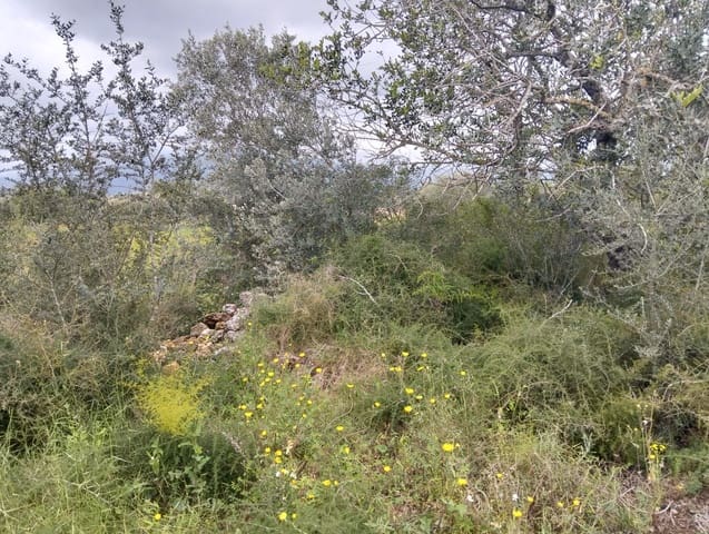 Terreno Non Edificato in vendita in Tarragona città - 15.100 € (Rif: 9987474)