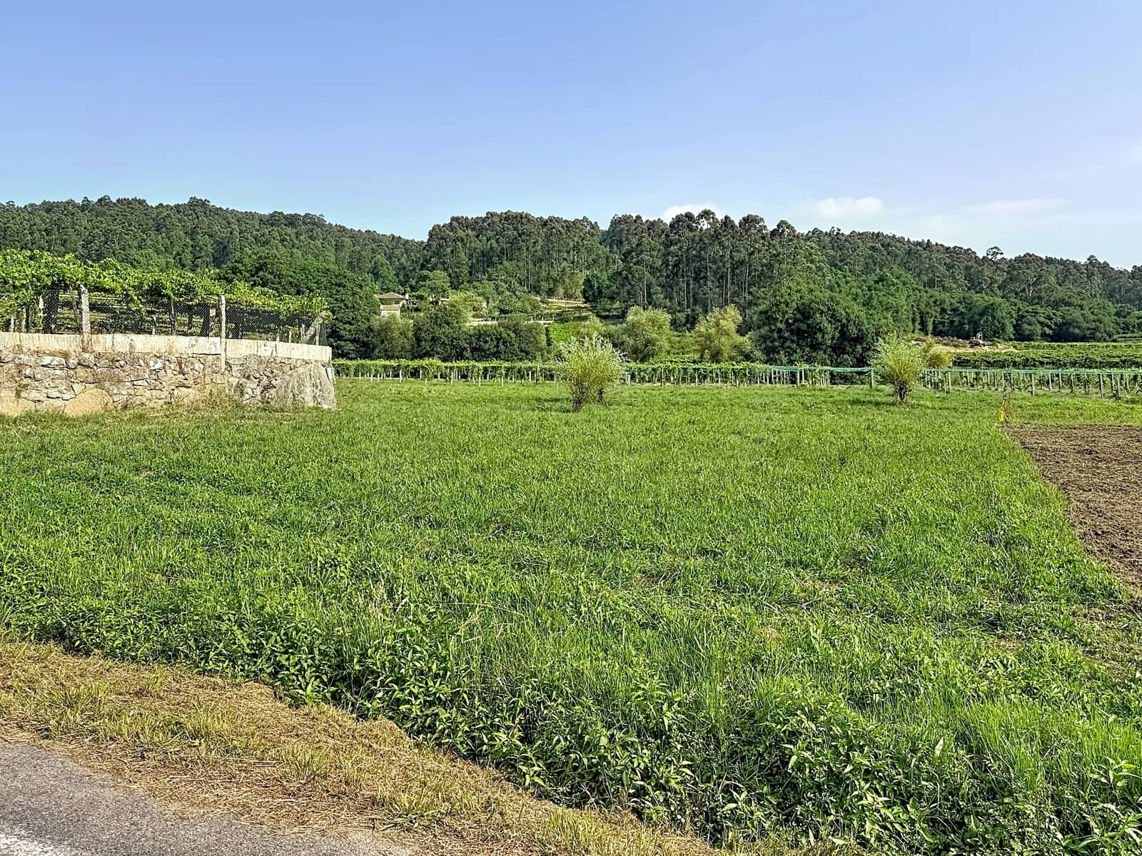 Terreno para Construção para venda em Pontevedra cidade - 50 000 € (Ref: 9987475)