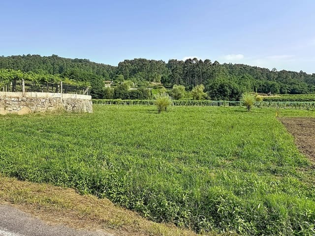 Bouwgrond te koop in Pontevedra stad - € 50.000 (Ref: 9987475)