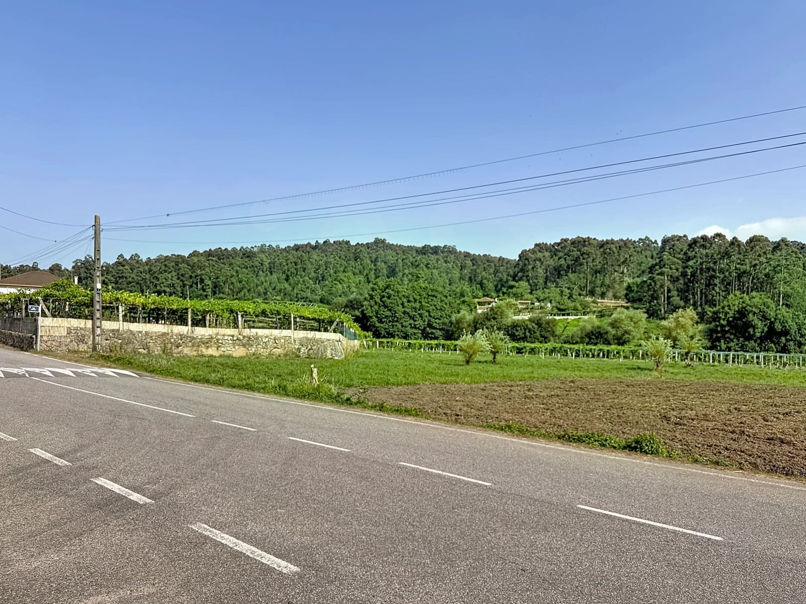 Terreno para Construção para venda em Pontevedra cidade - 50 000 € (Ref: 9987475)