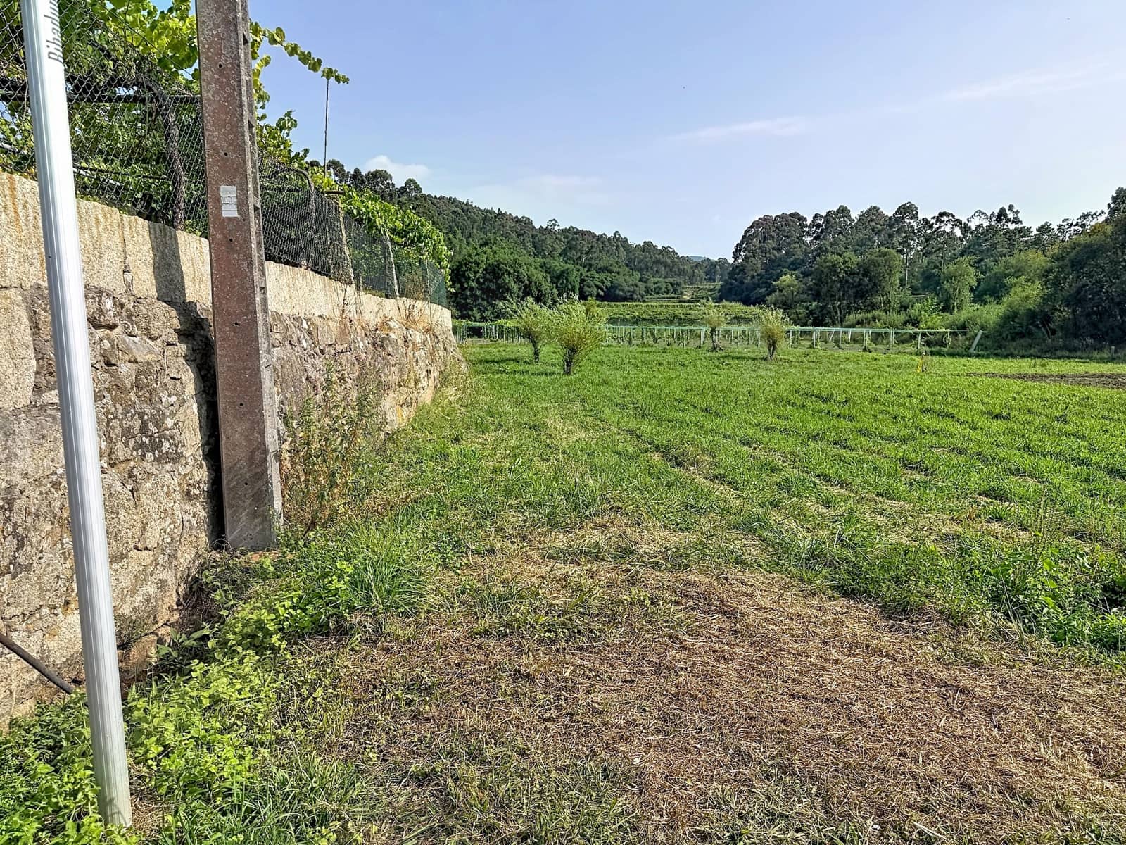 Terreno para Construção para venda em Pontevedra cidade - 50 000 € (Ref: 9987475)