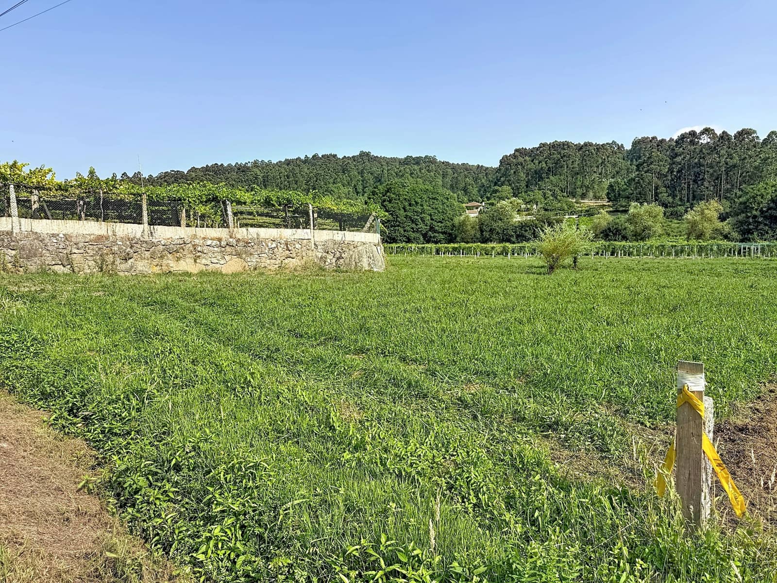 Terreno para Construção para venda em Pontevedra cidade - 50 000 € (Ref: 9987475)