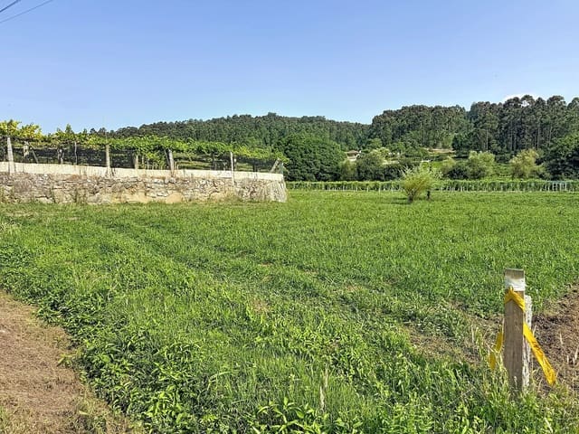 Bouwgrond te koop in Pontevedra stad - € 50.000 (Ref: 9987475)