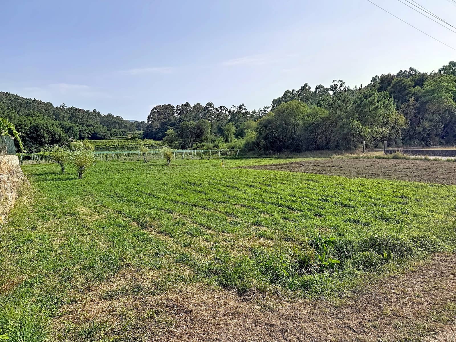 Terreno para Construção para venda em Pontevedra cidade - 50 000 € (Ref: 9987475)