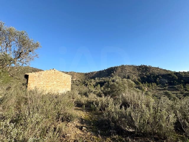 Ubebygd land til salgs i Tarragona by - € 119 000 (Ref: 9987483)