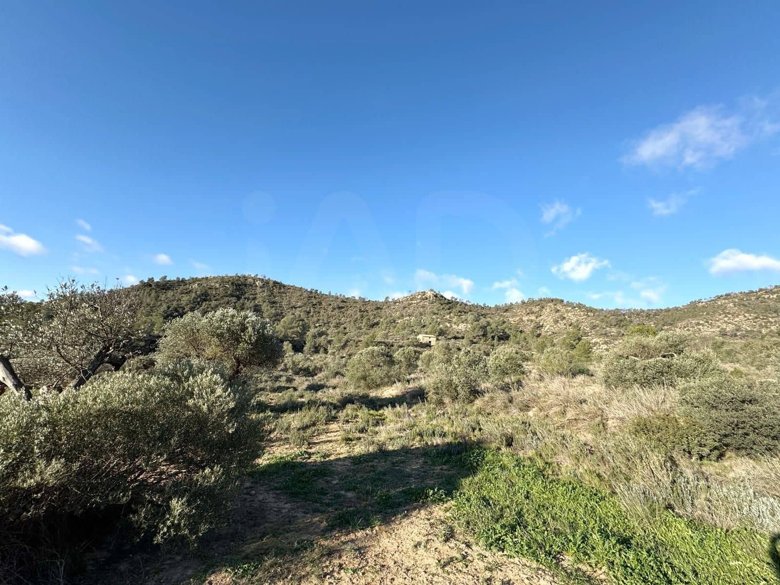 Grond te koop in Tarragona stad - € 119.000 (Ref: 9987483)