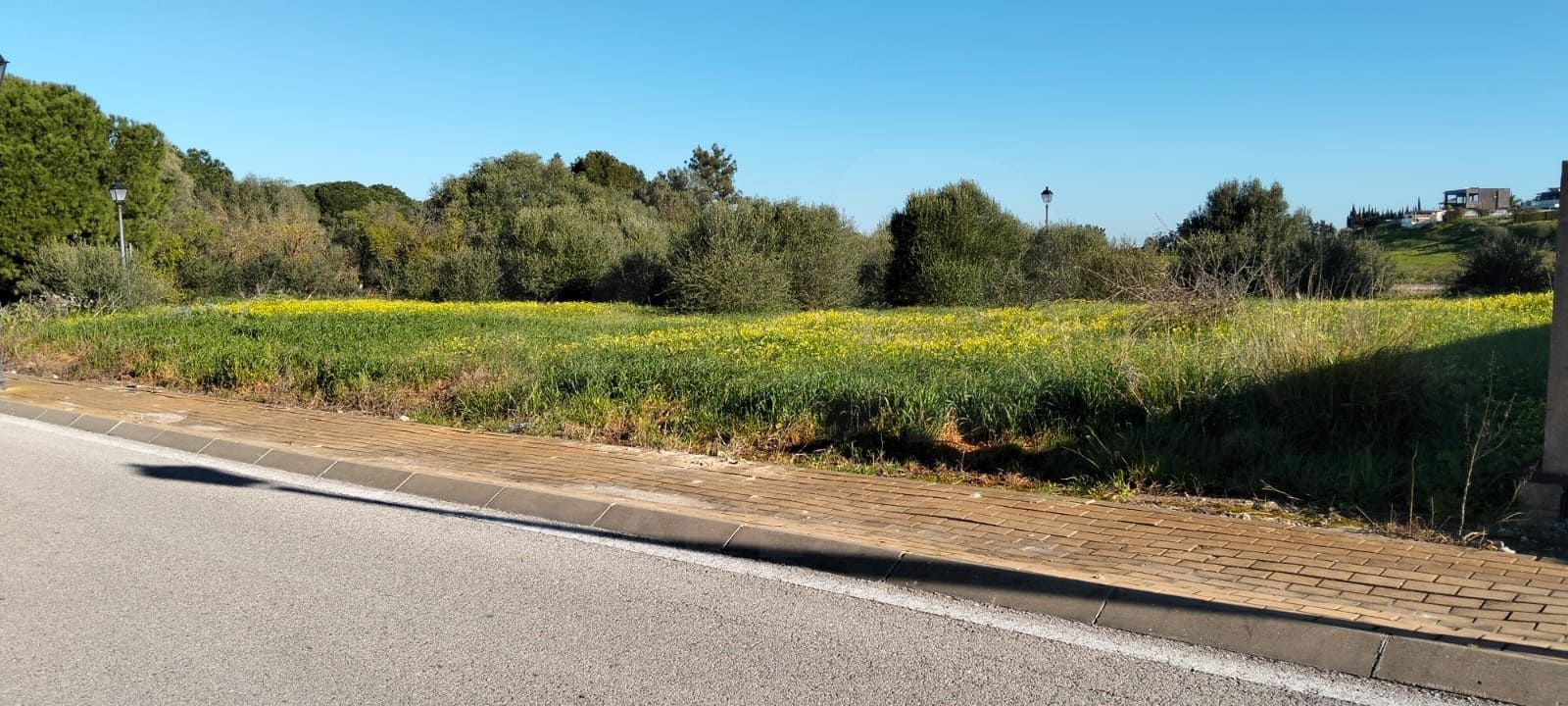 Area Edificabile in vendita in Cadice citta - 130.000 € (Rif: 9987490)