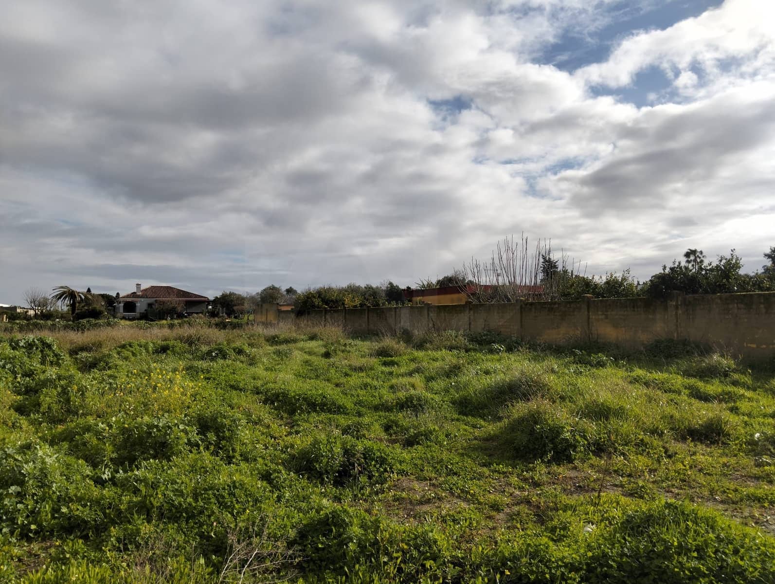 Landgrundstück zu verkaufen in Cadiz Stadt - 115.000 € (Ref: 9987509)