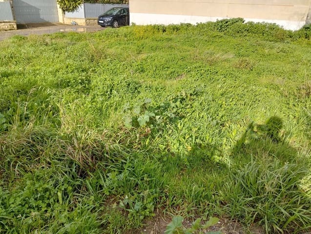 Grond te koop in Cádiz stad - € 115.000 (Ref: 9987509)