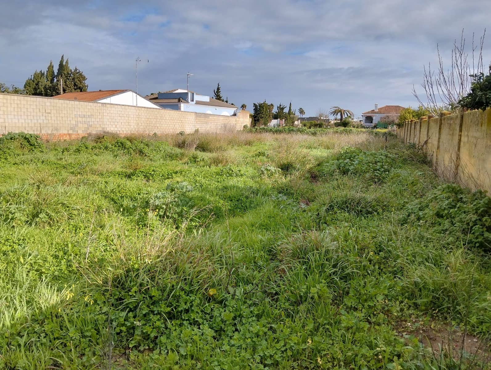 Landgrundstück zu verkaufen in Cadiz Stadt - 115.000 € (Ref: 9987509)