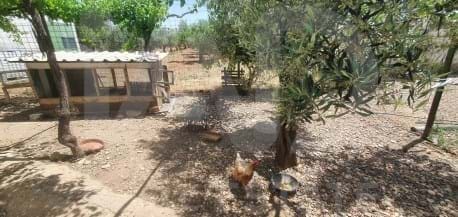 Finca/Casa di Campagna in vendita in Toledo citta con garage - 573.900 € (Rif: 9987545)