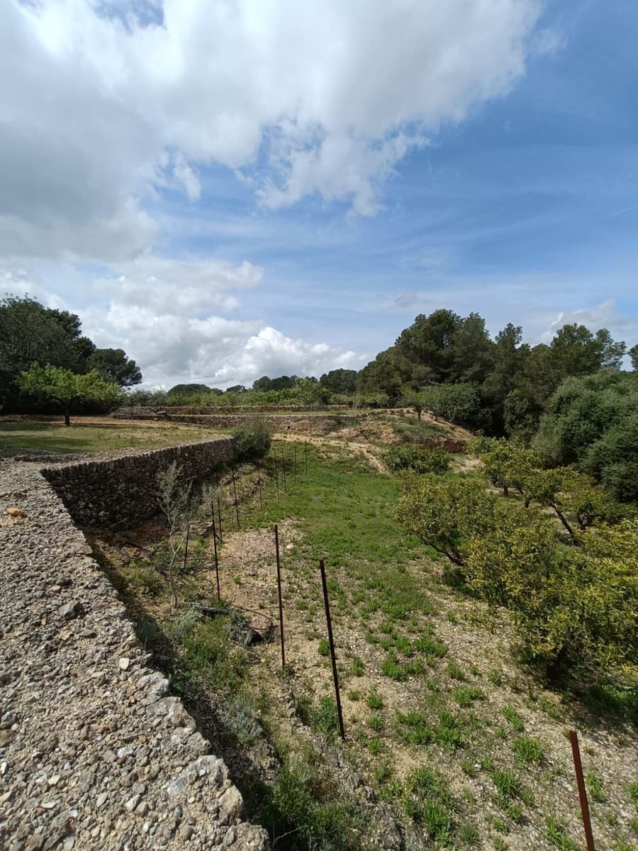 Ubebygd land til salgs i Tarragona by - € 90 000 (Ref: 9987553)