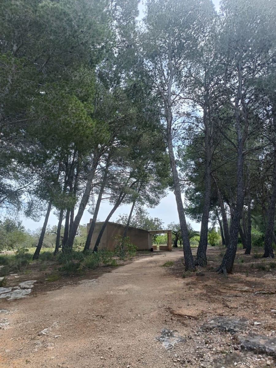 Ubebygd land til salgs i Tarragona by - € 90 000 (Ref: 9987553)