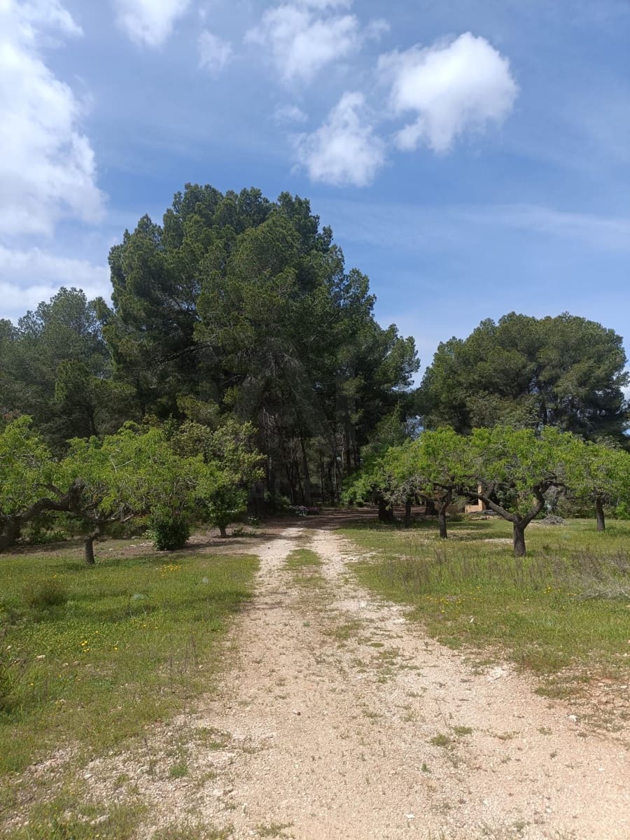 Ubebygd land til salgs i Tarragona by - € 90 000 (Ref: 9987553)