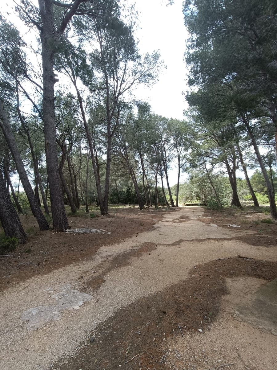 Ubebygd land til salgs i Tarragona by - € 90 000 (Ref: 9987553)