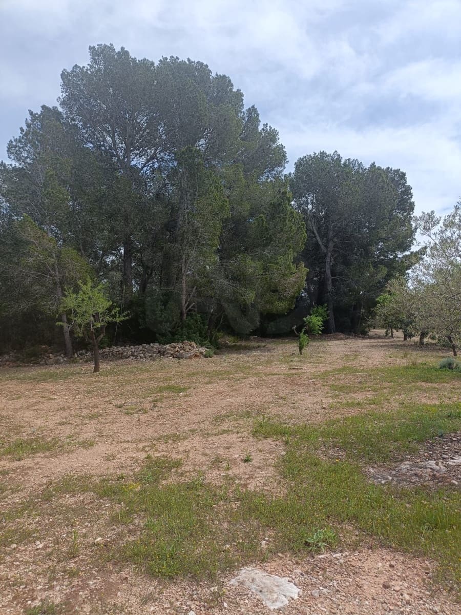 Ubebygd land til salgs i Tarragona by - € 90 000 (Ref: 9987553)